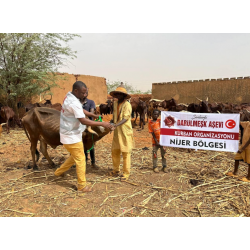 Afrika Kurban Bağışı Afrika Kurban Bağışı