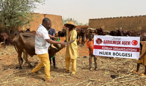 Afrika Kurban Bağışı